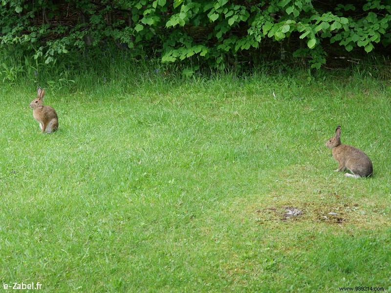 Trip to Canada – New Brunswick (continuation of the circuit) 