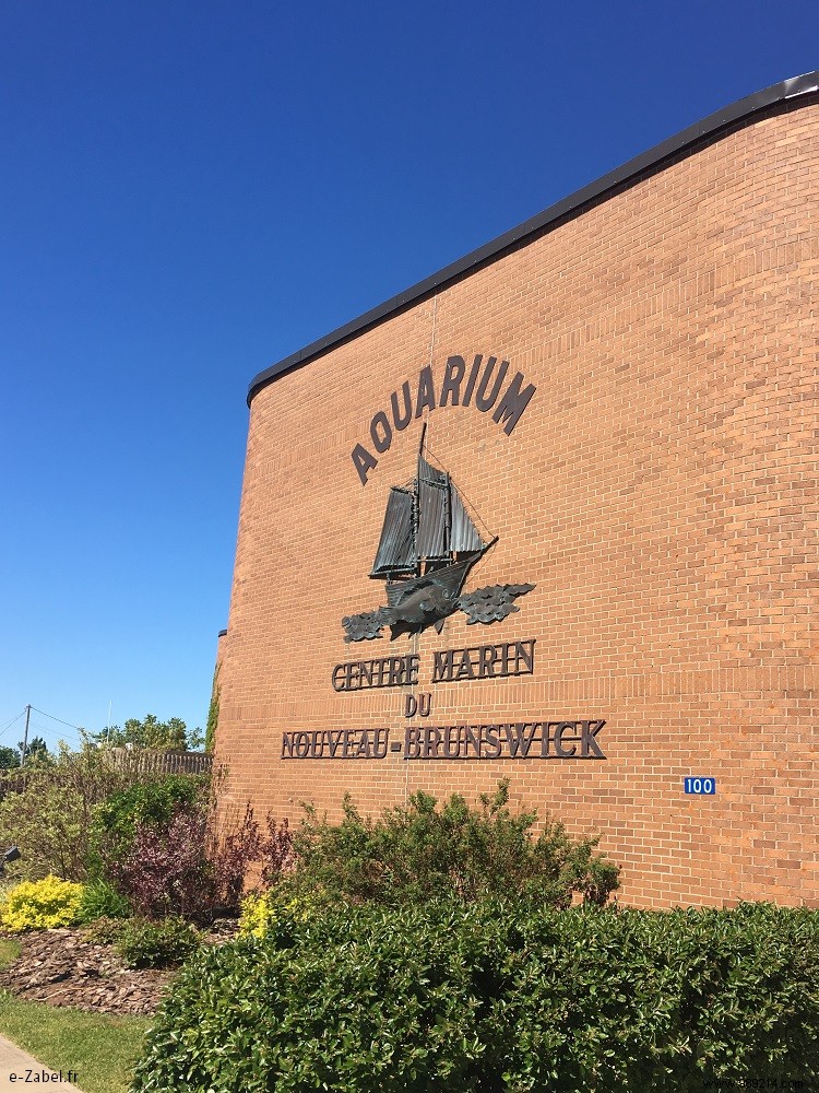 Family in Acadie – New Brunswick / CANADA 