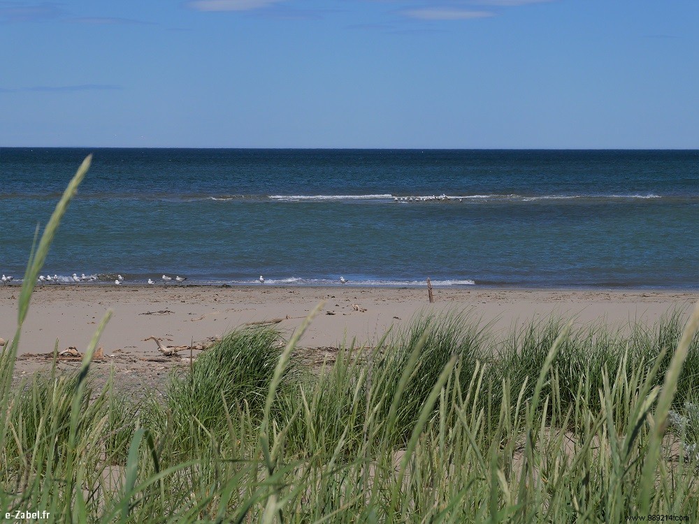 Family in Acadie – New Brunswick / CANADA 
