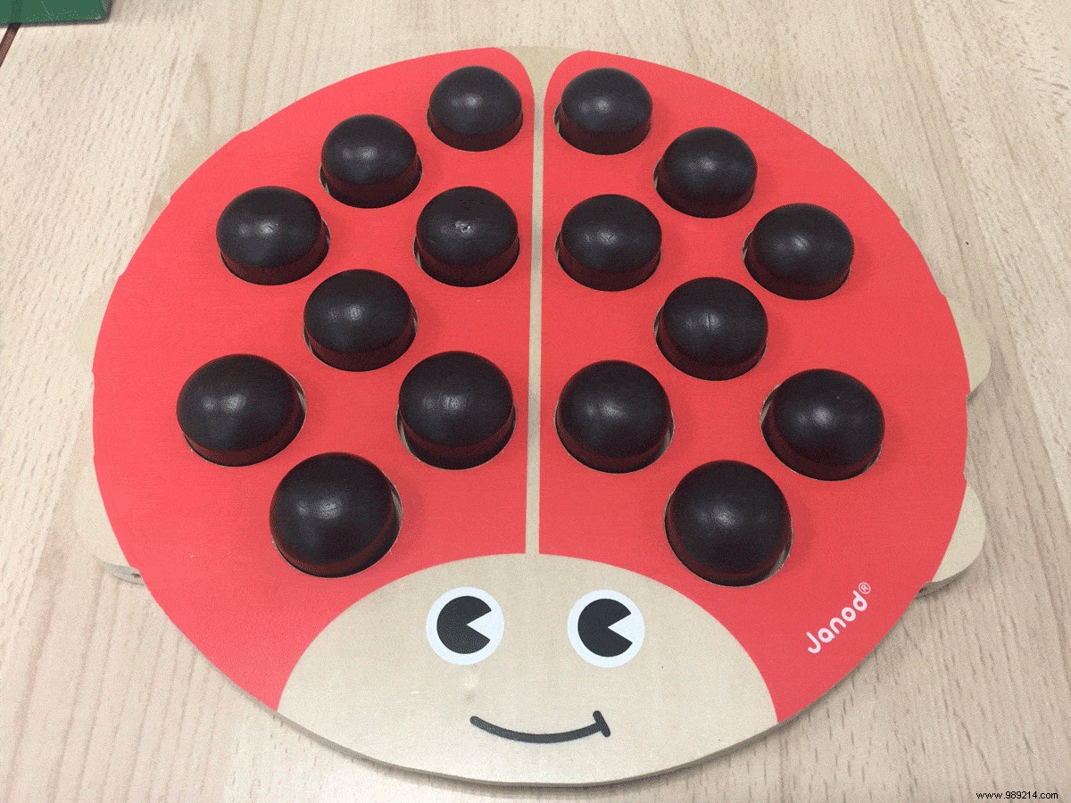 Review Janod Coccimemo Memo Game 