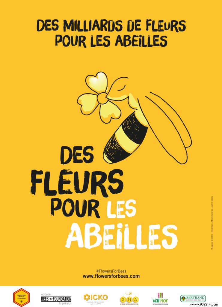 Flower week for bees 