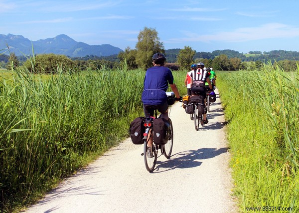 Organize a family bike ride 