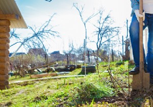 Spring work in the garden:when and where to start? 