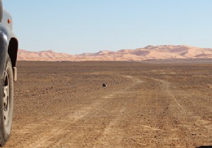 Winter in Morocco by motorhome:advice and itinerary 