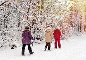 Winter holidays in the mountains without skiing:12 fun activities to discover 