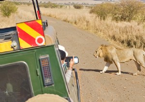 Travel to Africa:which countries to visit safely? 