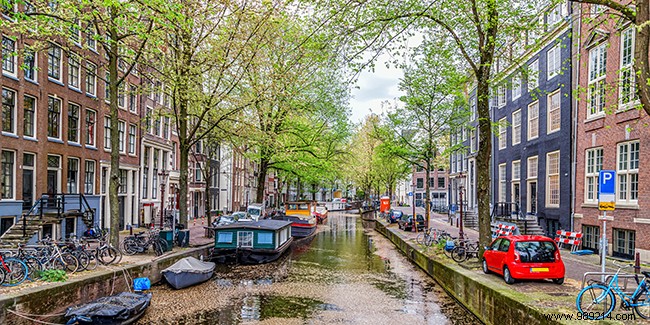 Long weekend in Amsterdam:organization and sites to visit 