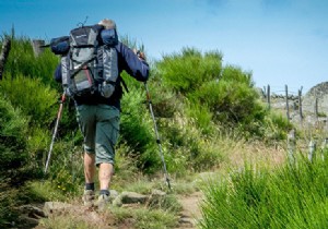 Doing all or part of the Camino de Compostela after retirement:why, how? 