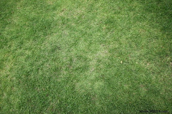 How to automatically water your lawn 