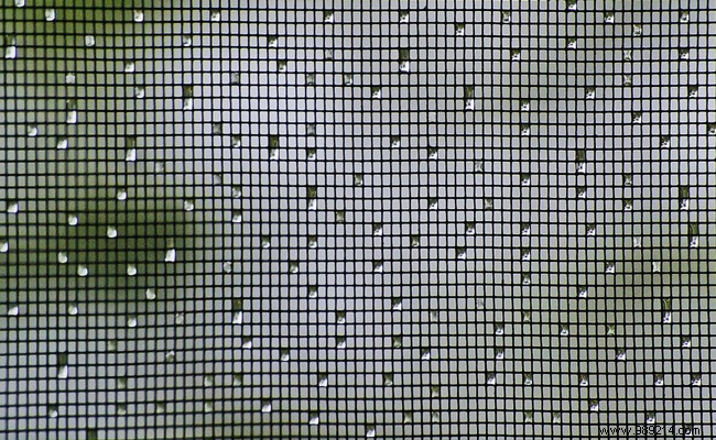 Ants, mosquitoes, flies:how to fight at home? 