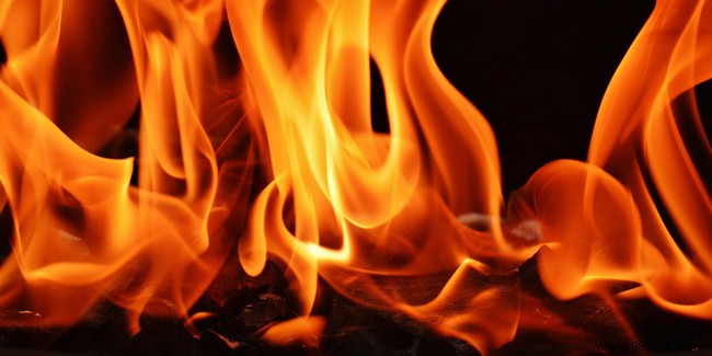 Price and quote wood boiler 