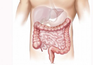Constipation:symptoms, causes, treatments and prevention 