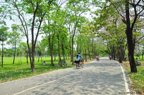 Explore Thailand by bike:the best spots 