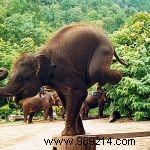 Travel differently thanks to ecotourism in Thailand 