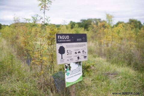 Faguo:the eco-responsible French fashion brand 