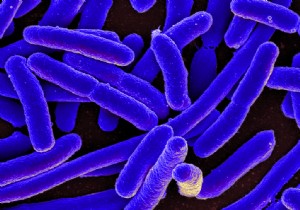 Are superbugs hiding in your makeup? 