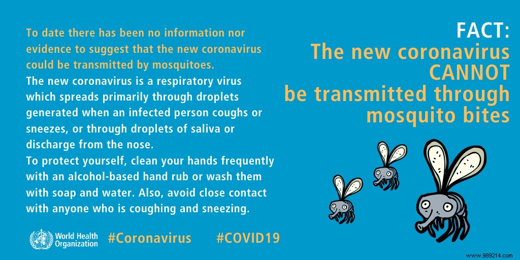 Can mosquitoes transmit Covid-19? A study closes the debate 