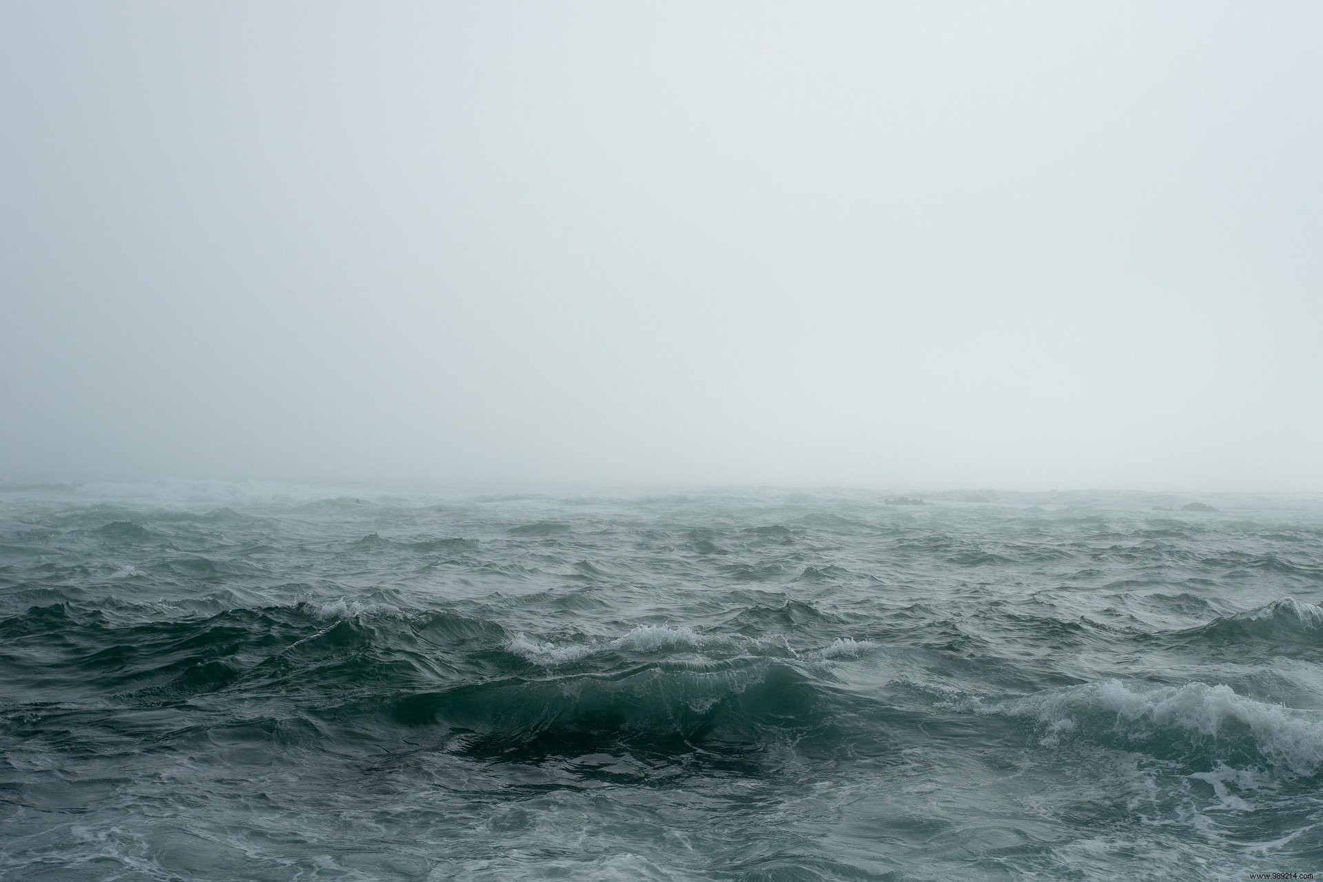 Why can t humans drink salt water? 