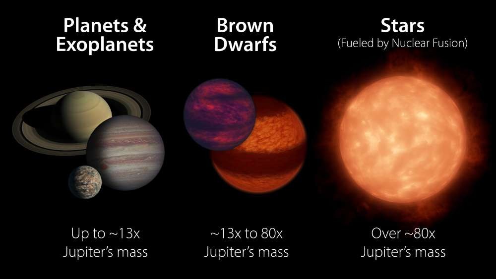 Dozens of brown dwarfs discovered near the Sun 