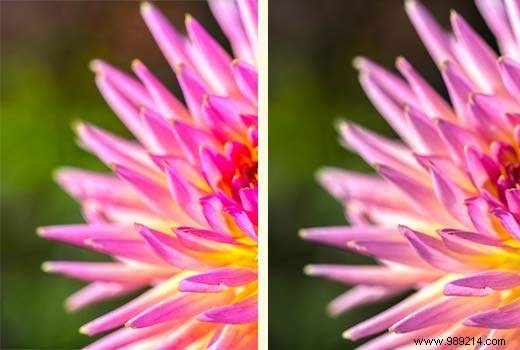 How to fix image color and saturation loss in WordPress