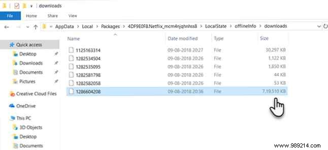 Where to find the Netflix download folder location