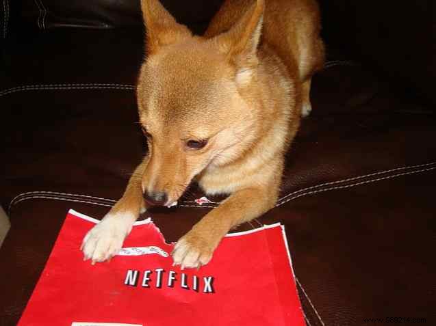 Why streaming movies are bad for you