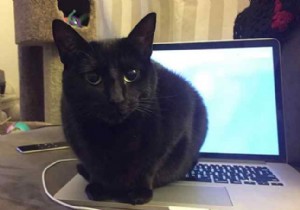 How to test your laptop and desktop